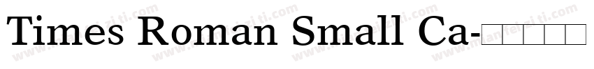 Times Roman Small Ca字体转换